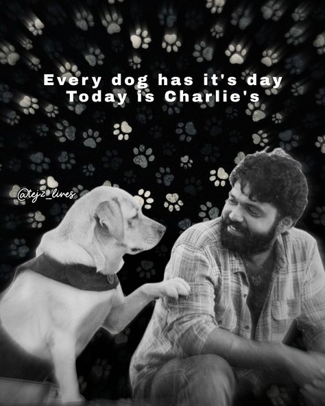 Charlie 777 Charlie Movie Images, Rakshith Shetty, 777 Charlie, Dog Portrait Photography, Posters Minimalist, New Images Hd, Dog Movies, Jay Shree Ram, Movies Quotes