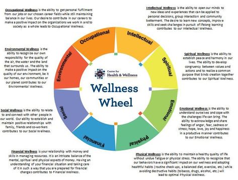 Wellness Wheel Activity, Wellness Wheel, Wellness Workshop, Workplace Wellness, Balance Wheel, Wellness Resources, Health Lessons, Wheel Of Life, Positive Psychology