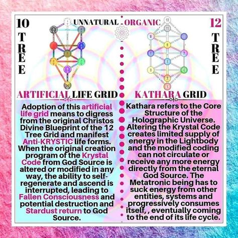 Kathara Grid, Tree Of Life Kabbalah, Scalar Waves, Keylontic Science, Wave Template, Morphogenetic Field, Sacred Geometry Meanings, Grid Structure, Holographic Universe