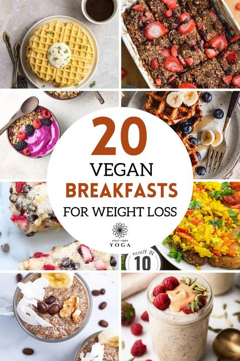 Wake up to a feast with our collection of 20 vegan breakfast recipes! From savory tofu scrambles to sweet smoothie bowls, there's something to satisfy every craving and fuel your day Vegan Breakfast Scramble, Low Cal Vegan Breakfast, Low Calorie High Protein Vegan Breakfast, Low Calorie Vegan Breakfast, Low Cal Breakfast, High Protein Vegan Breakfast, Best Vegan Breakfast, Vegan Breakfast Options, Tofu Breakfast