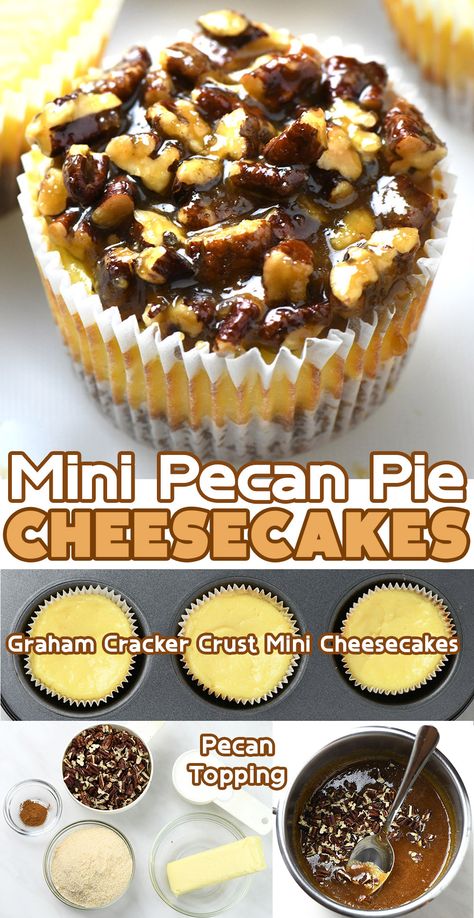 The photo is of mini pecan pie cheesecakes, featuring a striped cupcake liner with layers of cheesecake and a pecan pie filling on top, garnished with whole and chopped pecans. Mini Pecan Pie Cheesecake Recipe, Mini Cheesecakes For Thanksgiving, Pecan Pie Brownie Bites, Thanksgiving Pie Desserts, Mini Desserts To Sell, Mini Pecan Pie Cheesecakes, Dessert For Work, Tiny Deserts, Mini Pecan Pie