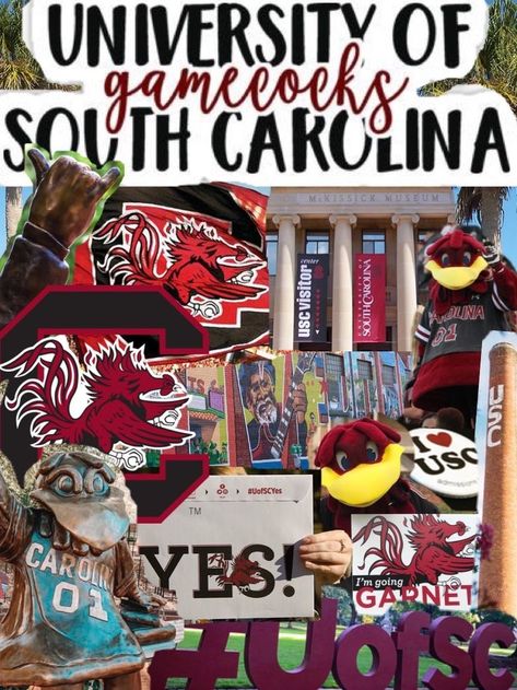 usc, uofsc, gamecocks aesthetic, dream college vision board, university of south carolina Gamecocks Aesthetic, Gamecocks Wallpaper, Go Gamecocks, College Vision Board, Usc Gamecocks, Dream Collage, Aesthetic Dream, Color Me Mine, College Aesthetic