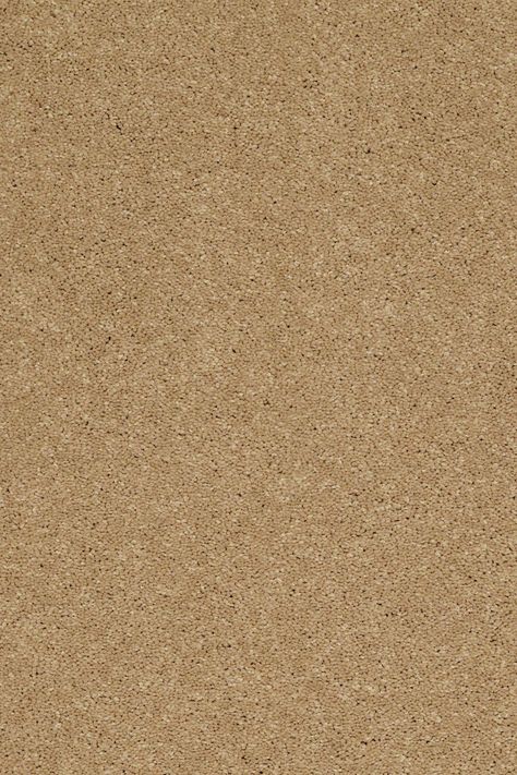 Sandy Hollow Classic Ii 12 - Cork Texture Photoshop, Shaw Flooring, Shaw Carpet, Shaw Floors, Sand Textures, Black Wall Clock, Carpet Samples, Brown Texture, Carpet Styles