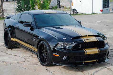 2012 Ford Mustang Shelby GT500 Super Snake Prototype Automotive Aesthetic, 2012 Mustang Gt, Shelby Gt500 Super Snake, Shelby Logo, Mustang Car Aesthetic, Ford Gt500, 2012 Mustang, 2012 Ford Mustang, Super Snake