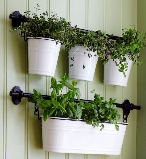 A FINTORP condiment holder works just as well as a planter. #IKEA #GYO #growyourown Balcony Ikea, Ikea Fintorp, Ikea Planters, Ikea Plant, Ikea Plants, Herb Wall, Wall Planters Indoor, Plant Window, Diy Herb Garden