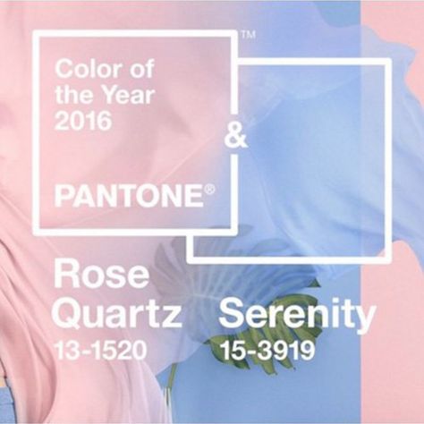 Pantone Rose Quartz Serenity, Rose Quartz And Serenity, Rose Quartz Serenity, Web Trends, Tranquil Blue, Serenity Blue, Pantone Color Of The Year, Digital Marketing Design, 2016 Trends