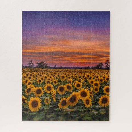 Colorful People, Sky Art Painting, Canvas Art Quotes, Small Canvas Art, Handprint Art, Simple Acrylic Paintings, Sunflower Painting, Sunset Painting, Diy Canvas Art Painting