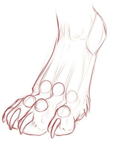 Anthro Feet Reference, Body Pillow Reference, Animal Pose Reference, Anthro Paws, Paw Reference, Anthro Anatomy, Werewolf Drawing, Paw Drawing, Canine Drawing