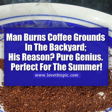 This is genius! Bug Repellant, Burnt Coffee, Bug Control, Bug Repellent, Natural Cleaners, Coffee Grounds, Pesticides, Pest Control, On Fire