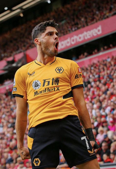 Van Persie Wallpaper Manchester United, English Premier League Wallpapers, Fantasy Premier League Wallpaper, Wolves Football, Peaky Blinders Characters, Wolverhampton Wanderers Fc, Indian Premier League, Wolverhampton Wanderers, Stone Roses