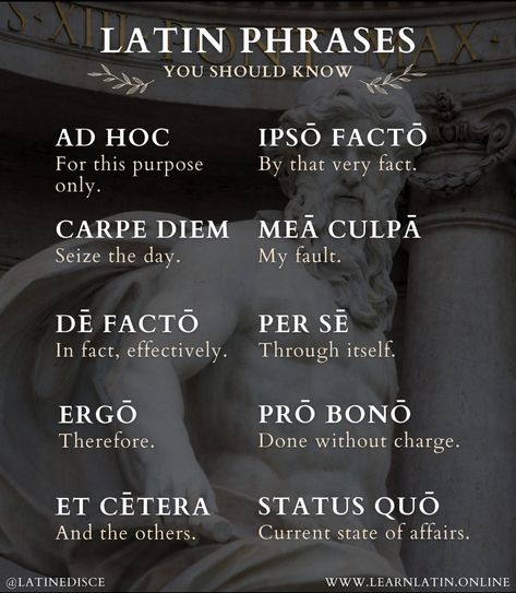 Latin Language Learning, Learn Latin, Latin Quotes, Latin Language, Beautiful Meaning, Latin Phrases, Spanish Words, Latin Words, I Wish I Knew