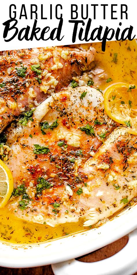 Oven Baked Tilapia, Baked Seafood, Tilapia Recipes Easy, Easy Garlic Butter, Baked Tilapia, Fish Dinner Recipes, Tilapia Recipes, Fish Recipes Healthy, Fish Dinner