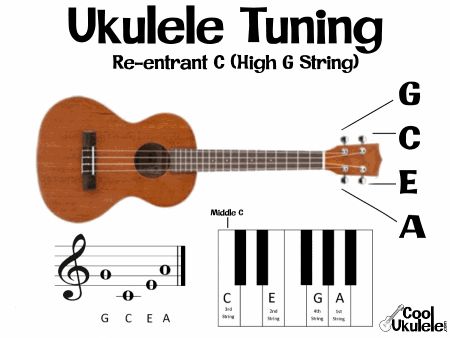 Tuning A Ukulele, Fretboard Notes, Ukulele Sizes, Topics To Write About, Ukulele Videos, Ukelele Chords Ukulele Songs, Ukulele Songs Beginner, Ukulele Tuning, Low G