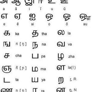 Language Diagrams • Secret Energy Tamil Script, Tamil Alphabets, Brahmi Script, Dravidian Languages, Ancient Alphabets, Ancient Scripts, Dancing Shiva, Ancient Writing, Alphabet Code