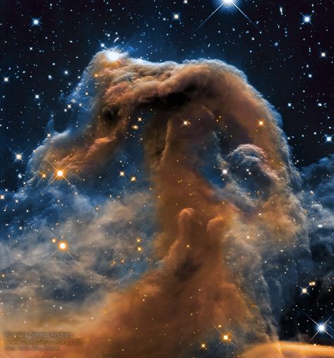 Hubble Ultra Deep Field, Hubble Space Telescope Pictures, Website Design Ecommerce, Horsehead Nebula, Astronomy Pictures, Website Design Wordpress, Carina Nebula, Holography, Hubble Images