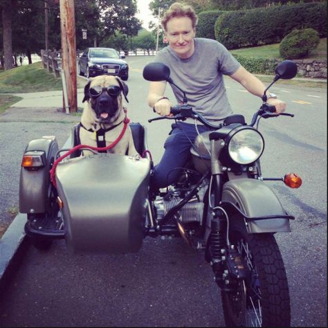 Doggy side car! Biker Dog, Ural Motorcycle, Motorcycle Sidecar, Bmw Motorcycle, Dog Stories, Riding Motorcycle, Shepherd Puppies, German Shepherd Puppies, Sidecar