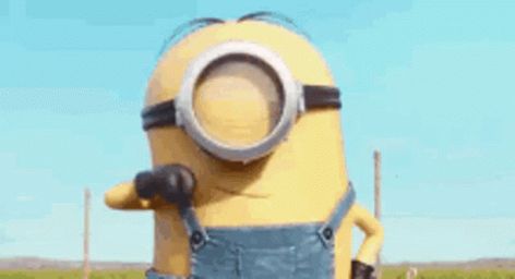 Minions Trailer, Ok Gif, Minion Gif, Funny Minion Pictures, Minion Pictures, Up Animation, Minions Love, Minions Wallpaper, A Minion