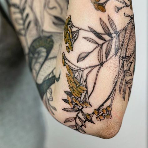 Tattooer, Wroclaw, Poland na Instagramie: „Part of a sleeve for Julia, details of polish herb - tansy 🌿🌿 #plant #flower #herb #tattoo #tattoos #ink #tattrx #poland #polishgirl #flora…” Tansy Tattoo, Herbalist Tattoo, Vintage Botanical Tattoo, Tansy Plant, Botanical Sleeve, Herb Tattoo, Nature Sleeve, Gardening Tattoo, Tattoo School