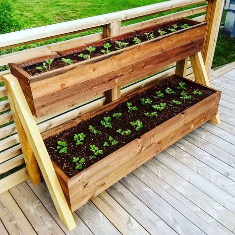 Backyard Strawberry Garden, Patio Shelf Ideas, Strawberry Shelf, Strawberry Planter Ideas, Pallet Patio Furniture Diy, Strawberry Planter, Strawberry Planters, Pallet Patio Furniture, Diy Planter