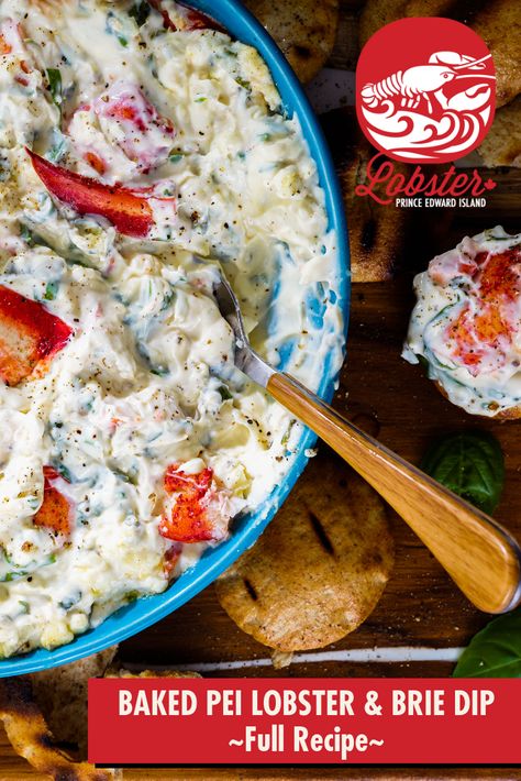 Brie Dip, Lobster Dip, Fresh Lobster, Easy Seafood, Lobster Recipes, Seafood Appetizers, Lobster Roll, Looks Yummy, Just Cooking