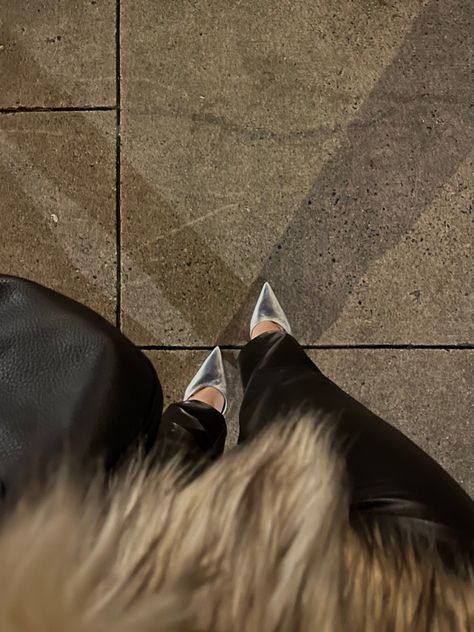 silver stiletto heels fur coat leather pants nyc outfit aesthetic silver metallic heels stilettos leather pants fur coat outfit Silver Heels Outfit, Silver Stiletto Heels, Shoes 2023, Heels Outfits, Silver Pumps, Black Leather Pants, Pointed Heels, Silver Heels, Pointed Toe Heels