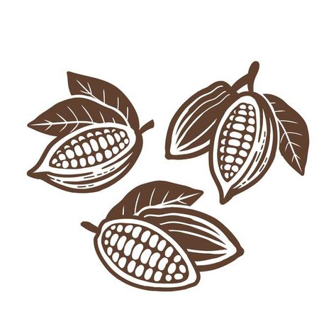 Cocoa Beans, Chocolate Factory, Vector Drawing, Icon Set Vector, Instagram Design, Icon Set, Premium Vector, Graphic Resources, Cocoa