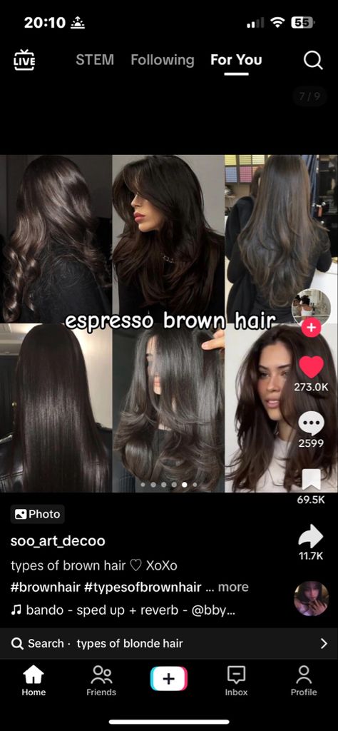 Types Of Brown Hair, Cool Tone Brown Hair, Espresso Hair Color, Cool Brown Hair, Mocha Color Hair, Brown Hair Color Shades, Baylage Hair, Mocha Hair, Coffee Hair