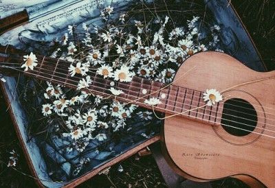 Sophia Core Aesthetic, Owl City, Hozier, Music Aesthetic, Stevie Wonder, + Core + Aesthetic, Jolie Photo, Guitar Chords, Arctic Monkeys