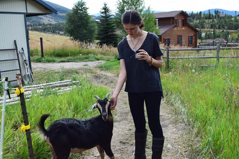 Behind the Scenes with Tieghan Gerard Tiegan Gerard, Tieghan Gerard, Rachel Ray Recipes, Half Baked Harvest Recipes, Rachel Ray, Harvest Recipes, Half Baked, Half Baked Harvest, Colorado Homes