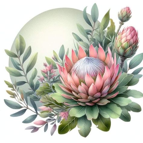 South Africa Art Paintings, South Africa Art, Protea Art, Hydrangeas Art, Tin Can Art, Pencil Work, South African Art, Australian Flowers, Protea Flower