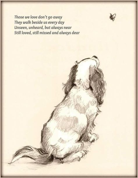 Cavalier Matters on Twitter: "For all those who have recently lost their companion.. (no idea who the artist is). http://t.co/70IYDkDr78" Dog Poems, Pet Remembrance, 강아지 그림, Pet Sympathy, Blue Heeler, Animal Quotes, Pet Loss, Dog Quotes, Cocker Spaniel