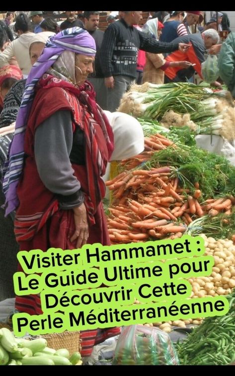 Visiter Hammamet : Le Guide Ultime pour Découvrir Cette Perle Méditerranéenne - LeSerieux.com