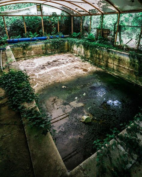 Abandoned Pool, Victorian Greenhouses, Abandoned Photography, Eerie Places, Abandoned Things, Urban Explorer, A Mansion, Town Names, Urban Exploration