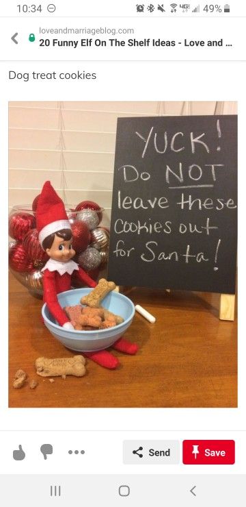 Elf On The Shelf Dog Treats, Awesome Elf On The Shelf Ideas, Shelf Ideas, On The Shelf, Dog Treats, Elf On The Shelf, Elf, Shelves, Holiday Decor