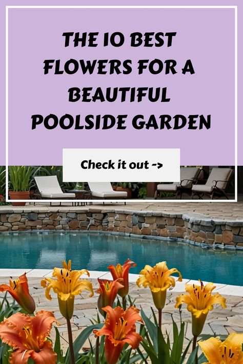 Enhance the beauty of your pool area with vibrant flowers strategically planted to create a visually stunning landscape. Explore different flowers that can thrive around above ground pools, adding color and freshness to your outdoor space. Discover the perfect flowers to plant around your pool for a picturesque and inviting ambiance that you can enjoy all season long. Transform your pool area into a tranquil oasis with the right selection of blooms that complement your above ground pool landscap Flower Beds Around Pool, Flowers Around Pool, Landscaping Around Pool, Poolside Garden, Pool Plants, Flowers To Plant, Paradise Flowers, Cascading Flowers, Above Ground Pools