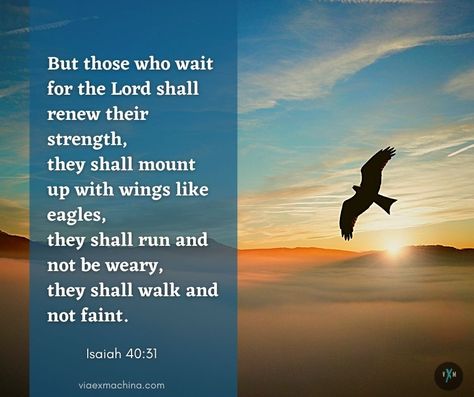 Wait On The Lord, Wait Upon The Lord, Wings Like Eagles, Isaiah 40 31, Fear Of The Lord, Inspirational Bible Verses, In A Nutshell, Scripture Quotes, The Lord