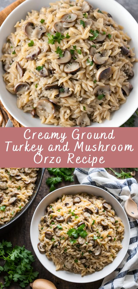 Creamy Ground Turkey and Mushroom Orzo Recipe | Cheff Recipes Mushroom Orzo Pasta, Mushroom Ground Turkey Recipes, Ground Turkey Mushroom Pasta, Ground Turkey Creamy Pasta, Mushroom And Orzo Recipes, Ground Turkey With Mushrooms, Mushroom And Ground Turkey, Orzo Ground Turkey, Turkey Orzo Soup Recipes