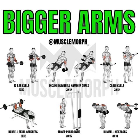 Compound Bicep Workout, Workouts To Build Muscle In Arms, Workouts To Make Your Arms Bigger, Massive Arms Workout, Build Bigger Arms, Long Bicep Workout, Arms Day Workout Gym, Full Arm Workout Gym, Fitness Arms Workout