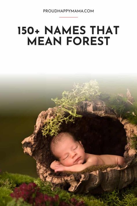 Forest Names Girl, Names Meaning Forest, Fantasy Forest Names, Names That Mean Forest, Forest Names, Earthy Boy Names, List Of Baby Names, Tree Names, Best Boy Names