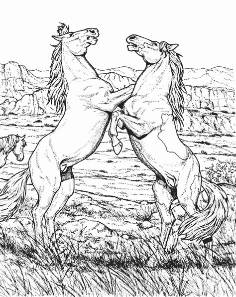 Horse Coloring Books, Wild Horse Pictures, Farm Animal Coloring Pages, Horse Coloring Pages, Adult Colouring Pages, Horse Animal, Animal Coloring Books, Princess Coloring, Animal Coloring