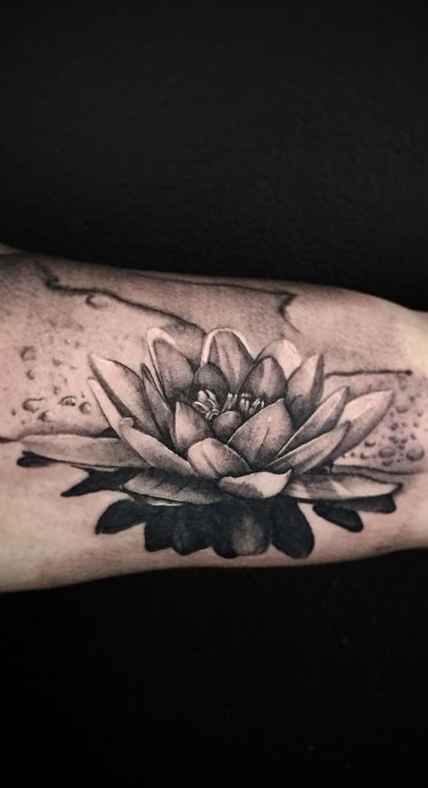 Water Lily And Daisy Tattoo, Water Lily Tattoo Sleeve, Realistic Lotus Tattoo, Water Lily Tattoo Design, Waterlilly Tattoo, Lily Pad Tattoo, Unique Flower Tattoos, Waterlily Tattoos, Lily Tattoo Sleeve