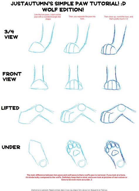 Drawing wolf paw positions How To Draw Wolf, Draw Wolf, Wolf Paws, Drawing Wolf, Paw Drawing, Wolf Sketch, Wolf Paw, Cat Drawing Tutorial, Cat Anatomy