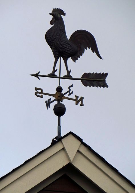 Weathervane rooster Weathervane Tattoo, Weather Vane Diy, Canna Flower, Appartment Decor, Lightning Rod, Weather Vanes, Casa Exterior, Plastic Bottle Crafts, Classic Architecture