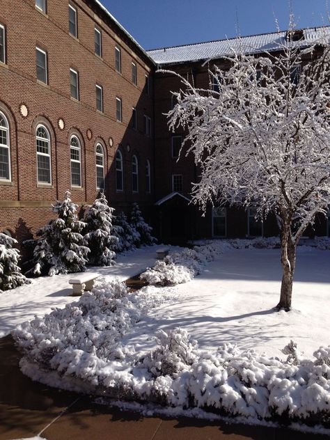 A beautiful morning on campus University Of Northwestern St Paul, Mcgill University Campus, University Of Minnesota Duluth, University Of Minnesota Twin Cities, A Beautiful Morning, Beautiful Morning, St Paul, Minnesota, Colorado