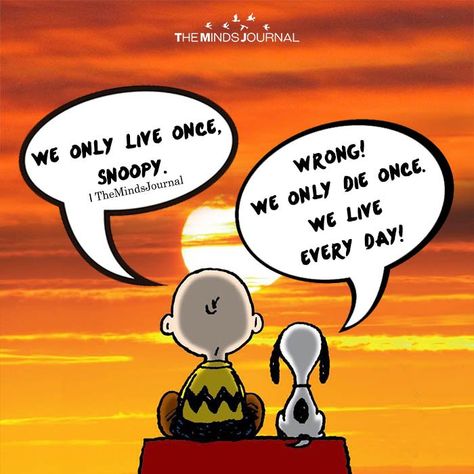 We Only Live Once, Snoopy https://themindsjournal.com/we-only-live-once-snoopy Book Lovers Art, We Only Live Once, Peanuts Quotes, Happy Wife Quotes, Feeling Happy Quotes, Best Friend Quotes Meaningful, Happy Quotes Inspirational, Snoopy Funny, Only Live Once