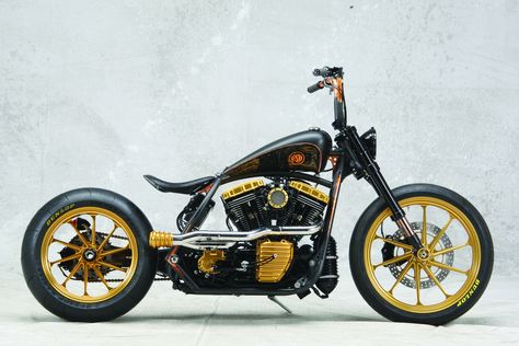 Sportster Chopper, Hd Sportster, Custom Motorcycles Bobber, Custom Built Motorcycles, Roland Sands Design, Roland Sands, Bobber Bikes, Dirt Bike Girl, Bike Kit