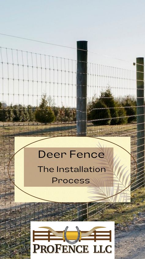 High Tensile Fence, Deer Fencing, Field Fence, Berry Garden, Deer Fence, Fence Installation, Homesteading Ideas, Cheap Fence, Wire Fence