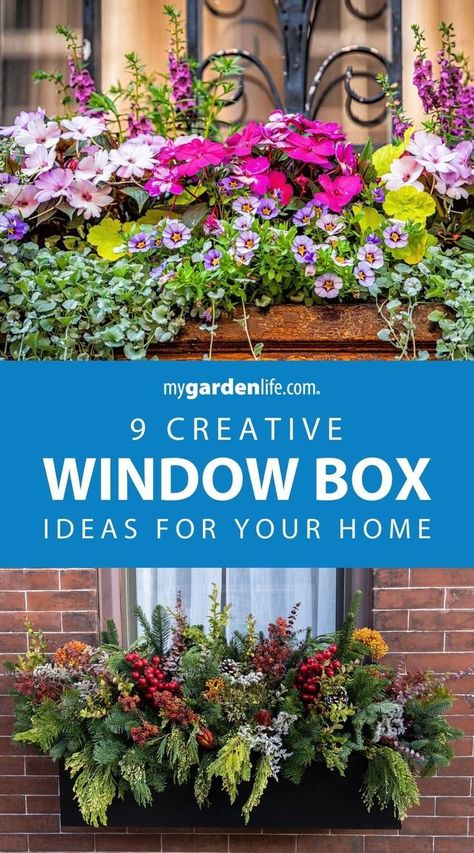 Brighten up your home with these window box ideas! Discover creative window box arrangement inspiration for sun, shade and every condition in between. These DIY window box planters will add charm to any window sill. Transform your home's exterior with these stunning displays and find more front porch gardening tips and landscaping inspiration at MyGardenLife.com. Window Box Perennials, 2nd Story Window Boxes, Window Box Design Ideas, Small Plant Box Outdoor Garden Ideas, Window Box Planter Ideas Full Sun, Window Box Ideas For Sun, Sunny Window Box Flowers, Window Flower Box Ideas Full Sun, Summer Window Boxes Ideas