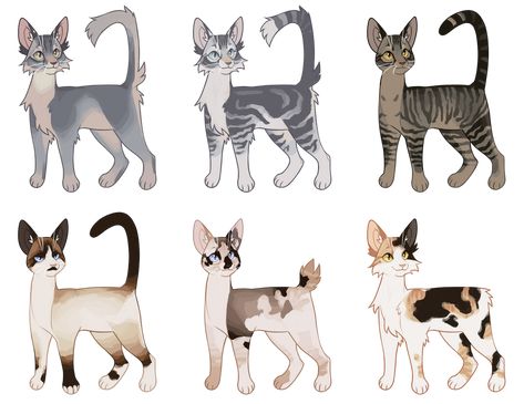 Cat Drawing Tutorial, Cat Anatomy, Warrior Cat Drawings, Warrior Cat Oc, Cat Oc, Cat Reference, Cat Sketch, Warrior Cats Art, Gorgeous Cats