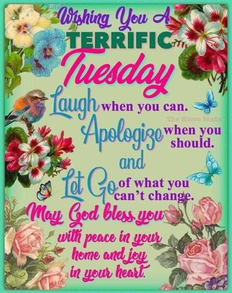 Wishing you a terrific Tuesday tuesday tuesday quotes terrific tuesday Happy Tuesday Morning, Tuesday Quotes Good Morning, Tuesday Greetings, Happy Tuesday Quotes, Good Morning Tuesday, Afternoon Quotes, Tuesday Quotes, Good Morning Prayer, Good Morning God Quotes